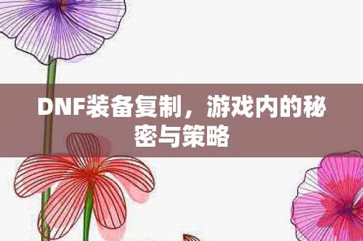 DNF装备复制,游戏内的秘密与策略 DNF装备复制,游戏内的秘密与策略