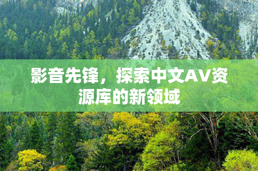 影音先锋，探索中文AV资源库的新领域