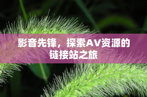 影音先锋，探索AV资源的链接站之旅