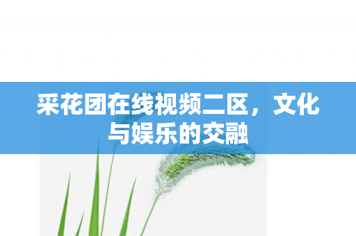采花团在线视频二区,文化与娱乐的交融 采花团在线视频二区,文化与娱乐的交融