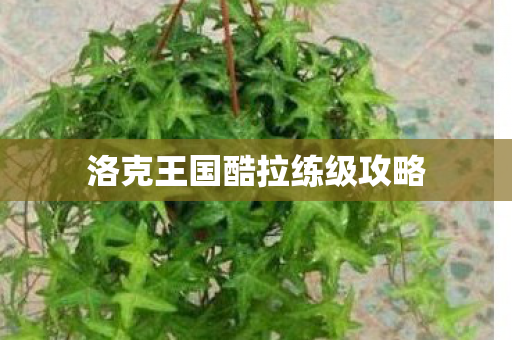 洛克王国酷拉练级攻略