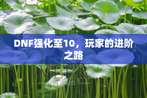 DNF强化至10，玩家的进阶之路