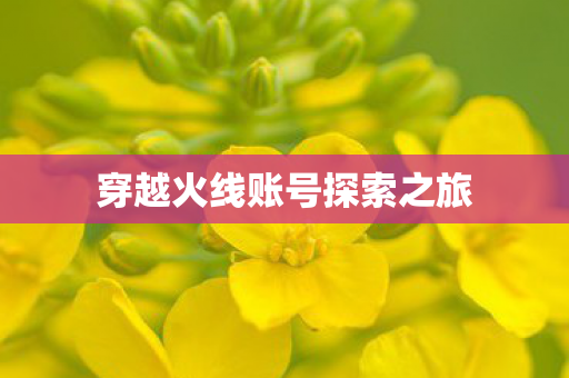 穿越火线账号探索之旅 穿越火线账号探索之旅