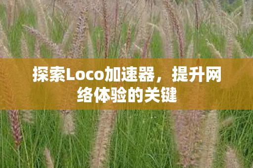 探索Loco加速器，提升网络体验的关键
