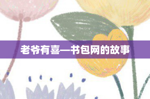 老爷有喜—书包网的故事