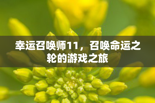 幸运召唤师11，召唤命运之轮的游戏之旅