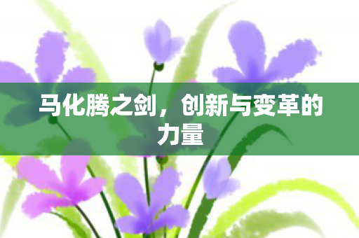 马化腾之剑，创新与变革的力量