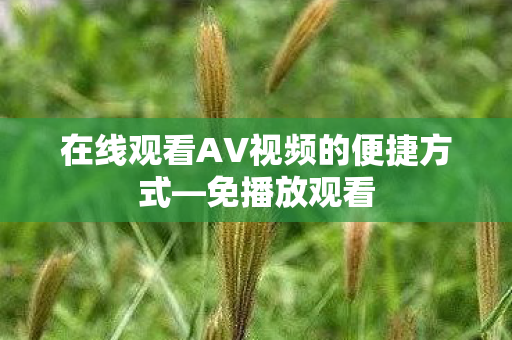 在线观看AV视频的便捷方式—免播放观看 在线观看AV视频的便捷方式—免播放观看