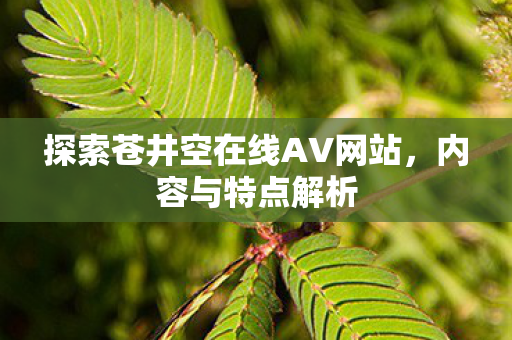 探索苍井空在线AV网站,内容与特点解析 探索苍井空在线AV网站,内容与特点解析