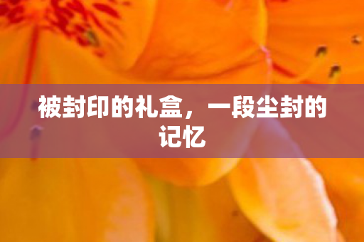 被封印的礼盒,一段尘封的记忆 被封印的礼盒,一段尘封的记忆
