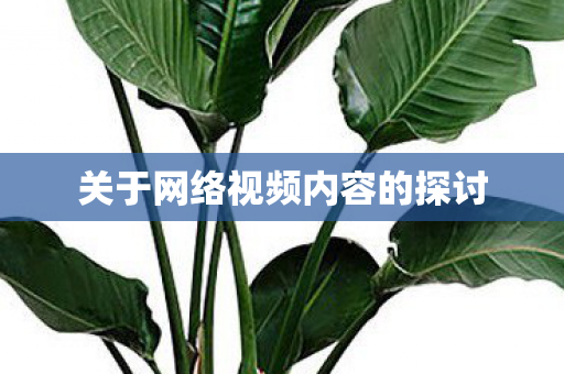 关于网络视频内容的探讨 关于网络视频内容的探讨