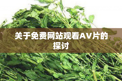 关于免费网站观看AV片的探讨 关于免费网站观看AV片的探讨