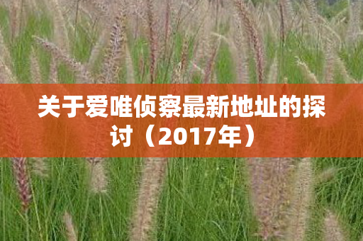 关于爱唯侦察最新地址的探讨（2017年）
