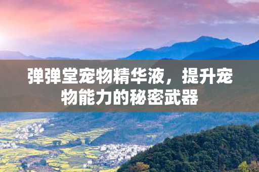 弹弹堂宠物精华液，提升宠物能力的秘密武器