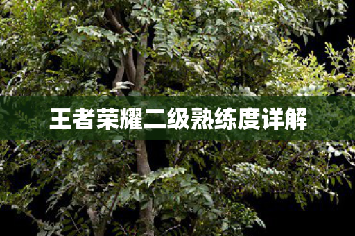 王者荣耀二级熟练度详解 王者荣耀二级熟练度详解