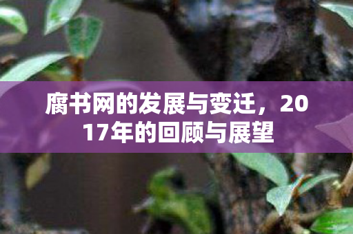 腐书网的发展与变迁,2017年的回顾与展望 腐书网的发展与变迁,2017年的回顾与展望