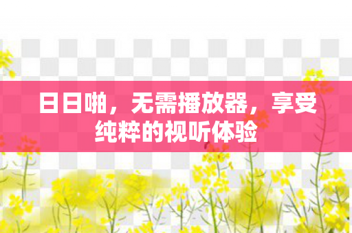 日日啪，无需播放器，享受纯粹的视听体验