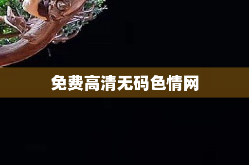 免费高清无码色情网