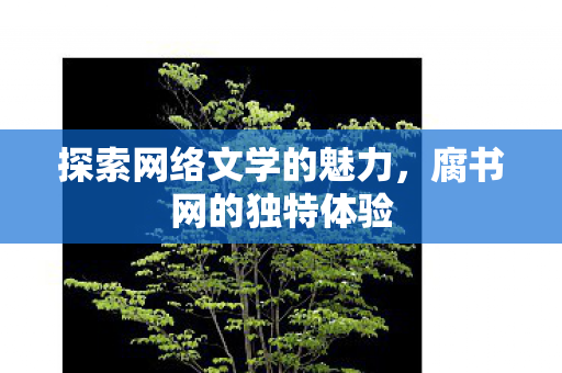 探索网络文学的魅力，腐书网的独特体验