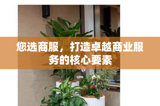 您选商服，打造卓越商业服务的核心要素