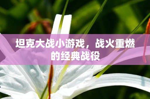 坦克大战小游戏，战火重燃的经典战役