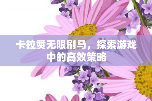 卡拉赞无限刷马，探索游戏中的高效策略