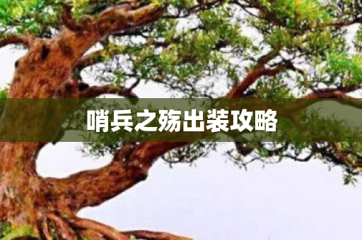 哨兵之殇出装攻略 哨兵之殇出装攻略