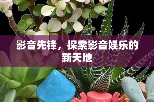 影音先锋,探索影音娱乐的新天地 影音先锋,探索影音娱乐的新天地