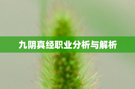 九阴真经职业分析与解析 九阴真经职业分析与解析