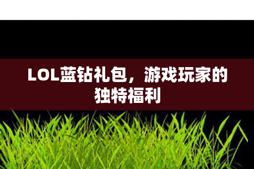 LOL蓝钻礼包，游戏玩家的独特福利