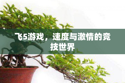 飞5游戏,速度与激情的竞技世界 飞5游戏,速度与激情的竞技世界