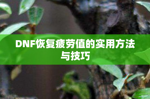 DNF恢复疲劳值的实用方法与技巧 DNF恢复疲劳值的实用方法与技巧