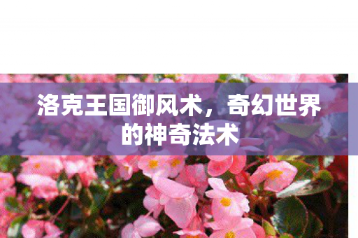 洛克王国御风术,奇幻世界的神奇法术 洛克王国御风术,奇幻世界的神奇法术