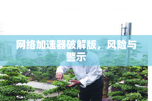 网络加速器破解版，风险与警示