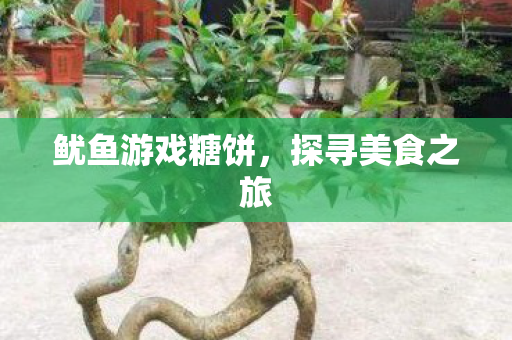 鱿鱼游戏糖饼,探寻美食之旅