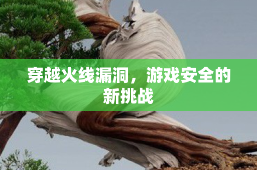 穿越火线漏洞，游戏安全的新挑战