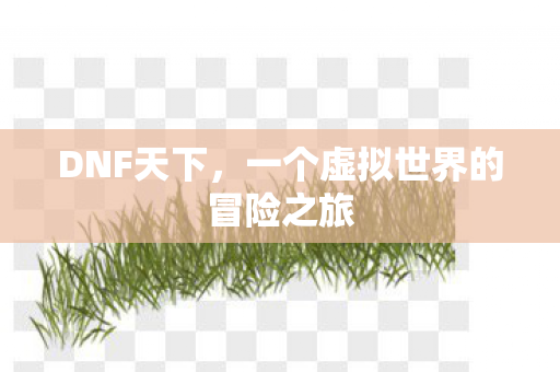 DNF天下，一个虚拟世界的冒险之旅