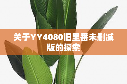 关于YY4080旧里番未删减版的探索