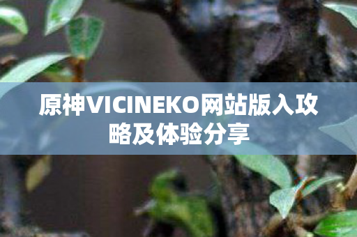 原神VICINEKO网站版入攻略及体验分享