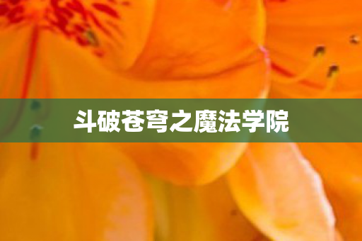 斗破苍穹之魔法学院
