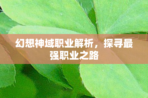 幻想神域职业解析，探寻最强职业之路