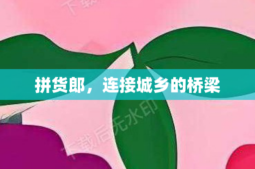 拼货郎，连接城乡的桥梁