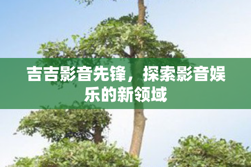 吉吉影音先锋，探索影音娱乐的新领域