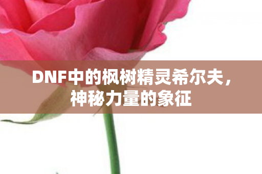 DNF中的枫树精灵希尔夫，神秘力量的象征