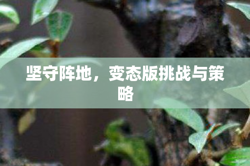 坚守阵地，变态版挑战与策略