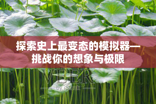 探索史上最变态的模拟器—挑战你的想象与极限 探索史上最变态的模拟器—挑战你的想象与极限