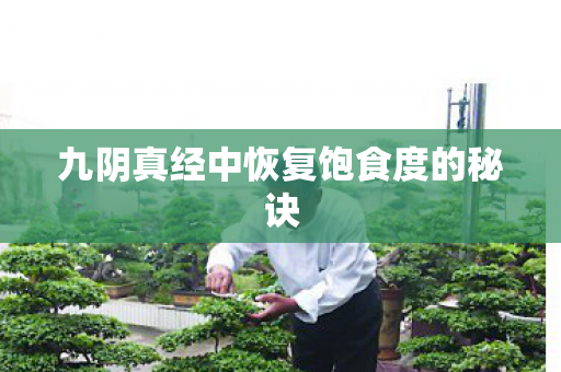 九阴真经中恢复饱食度的秘诀