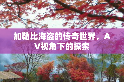 加勒比海盗的传奇世界，AV视角下的探索
