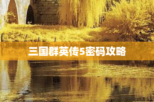 三国群英传5密码攻略