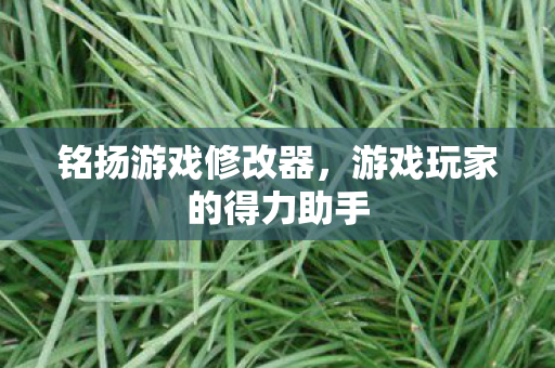 铭扬游戏修改器，游戏玩家的得力助手